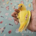 Lovebird tame baby selffeed full ..close ring